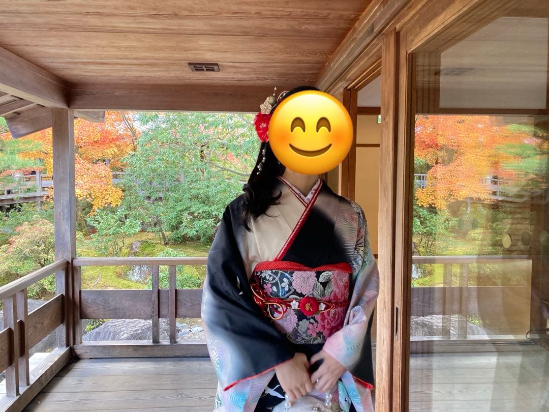 振袖セット正絹本加工青波扇子と鶴アンティークレトロな振袖作家落款有　トールサイズ