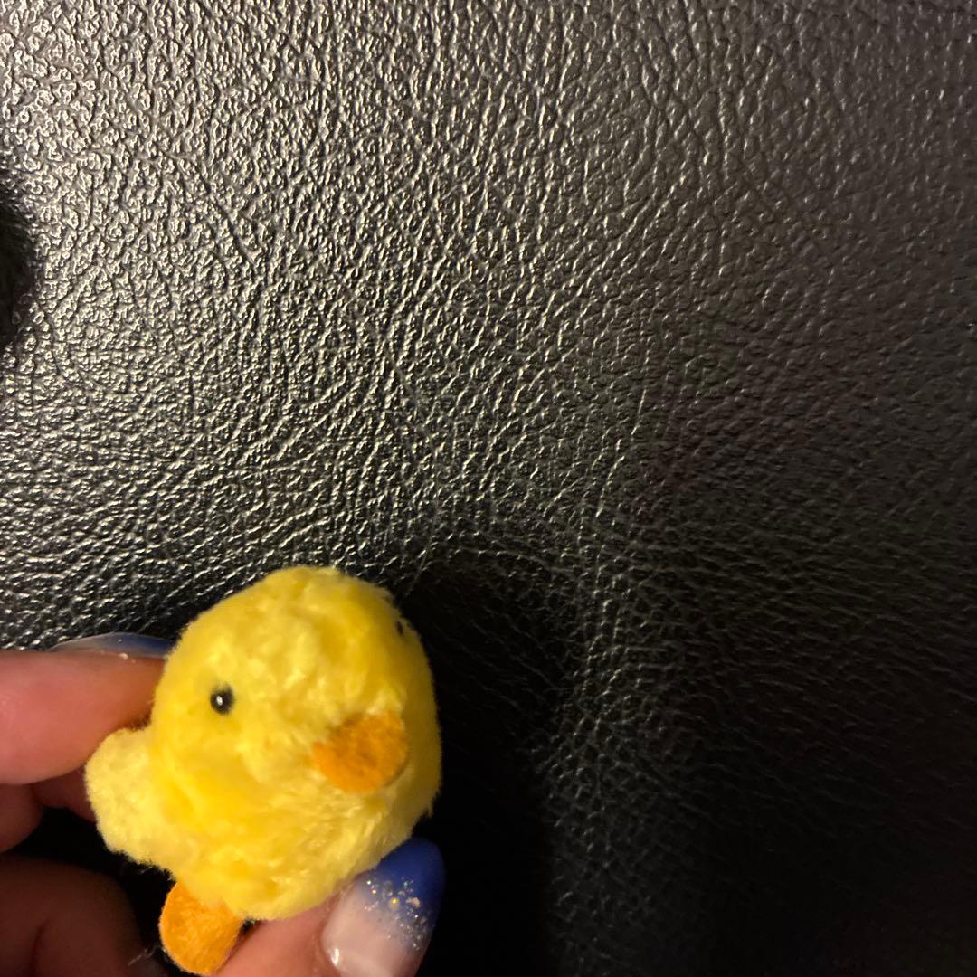 19 激レア！お値下げ！サンエックス　ぶるぶるどっぐ　ぬいぐるみ