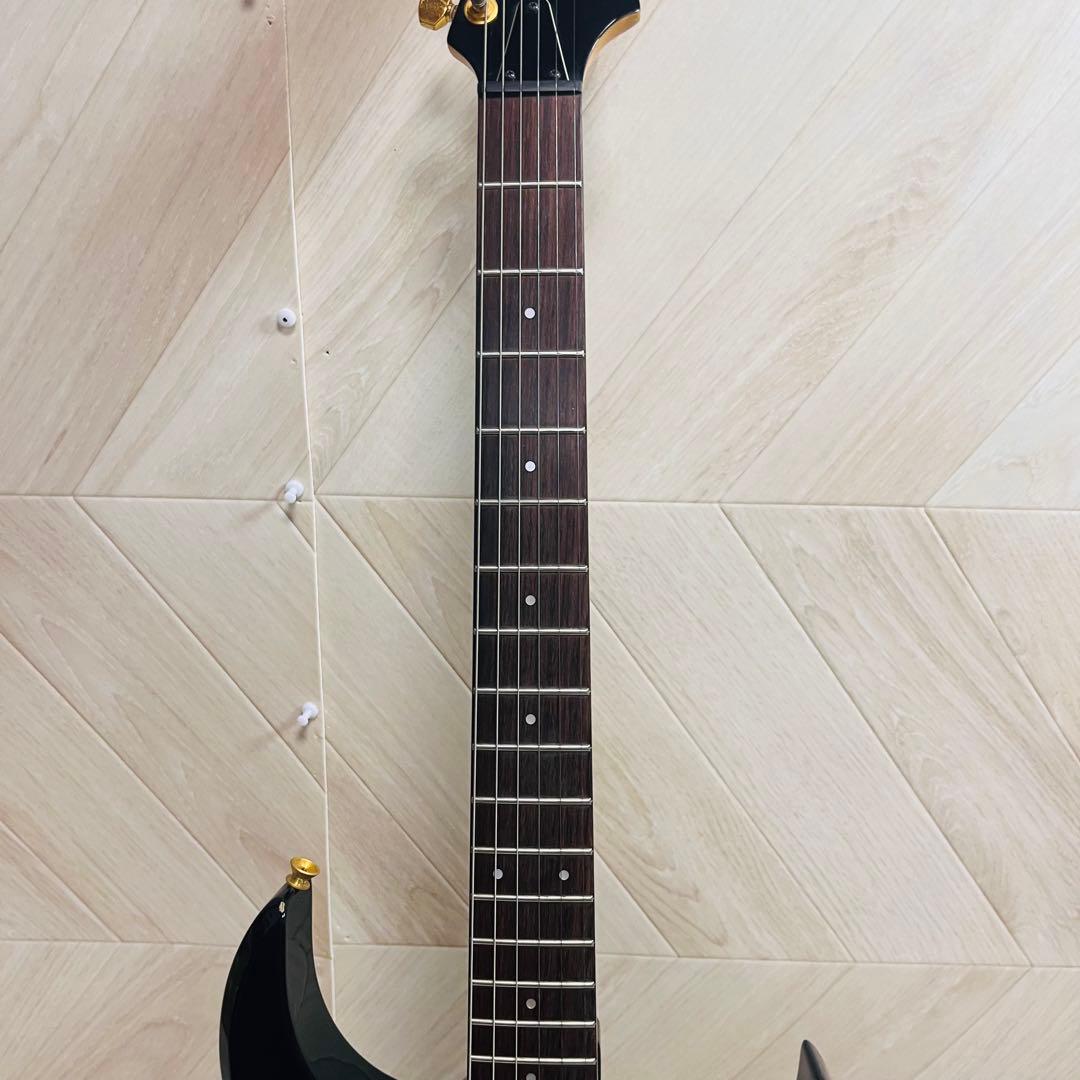 フェルナンデス　FGZ-420 ケース付き