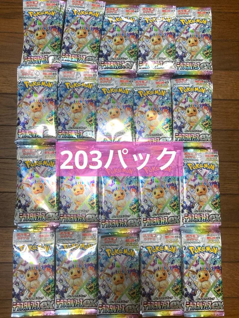 ポケモンカード　サーチ済みパック　テラスタルルフェス　203パック