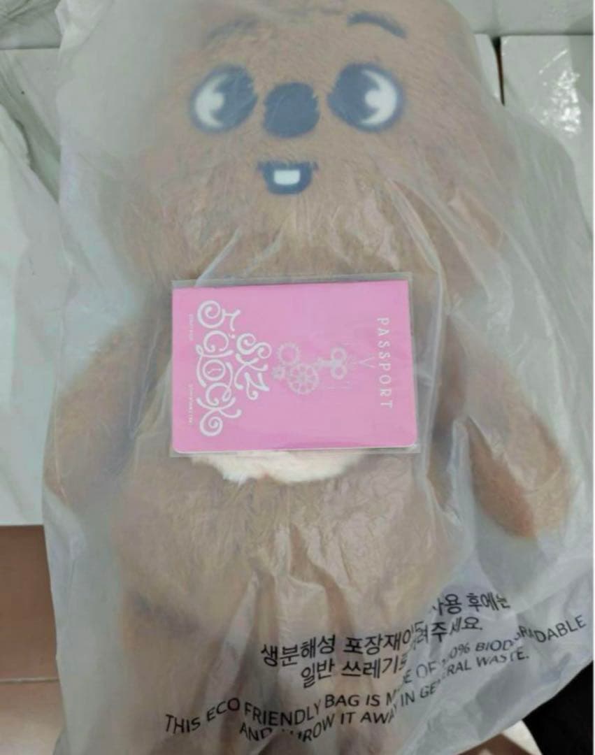 横*音様 テディベア ぬいぐるみ teddybear SKZOO ハン　ハンクォ