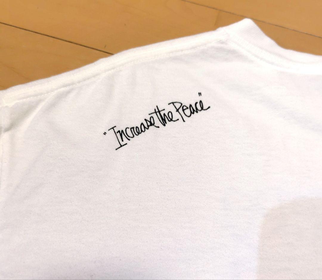 レア OLD STUSSY『C·YA』フォトＴシャツ　80'S90'S