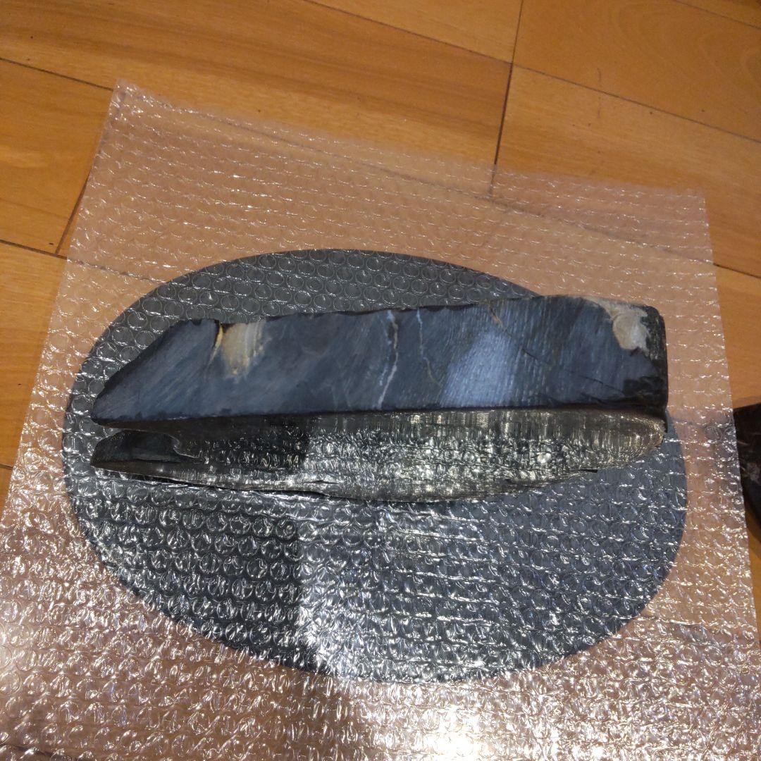 #化石(樹木)６月 価格