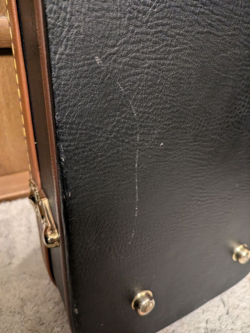 弦楽器 Fender FV-3