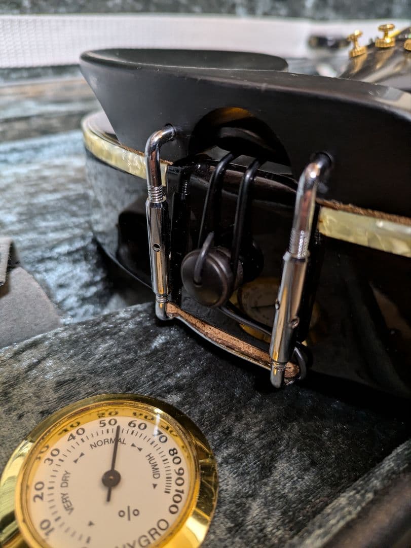 弦楽器 Fender FV-3