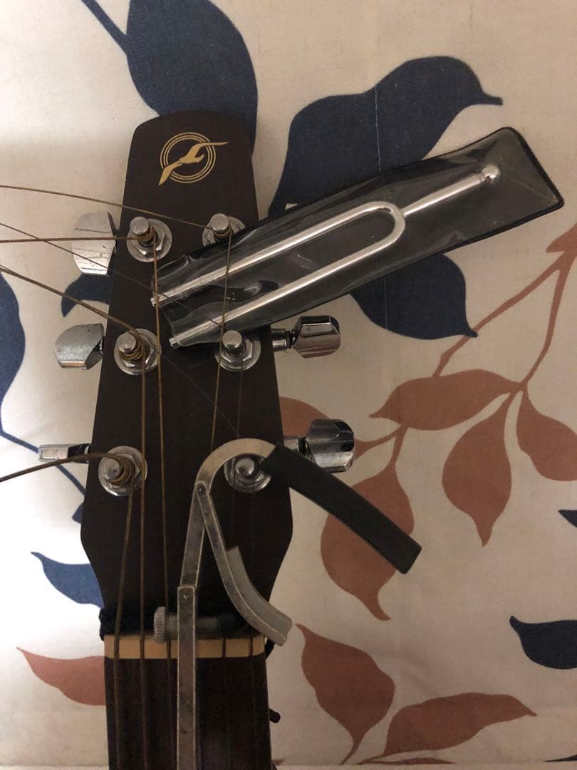 アコギ 中古 Seagull S6 + Tobacco Burst