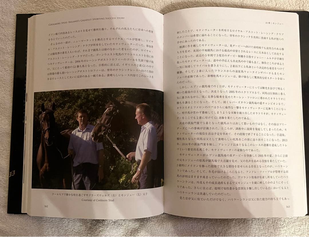 【非売品】クールモア・スタッド (海外競馬・種牡馬)