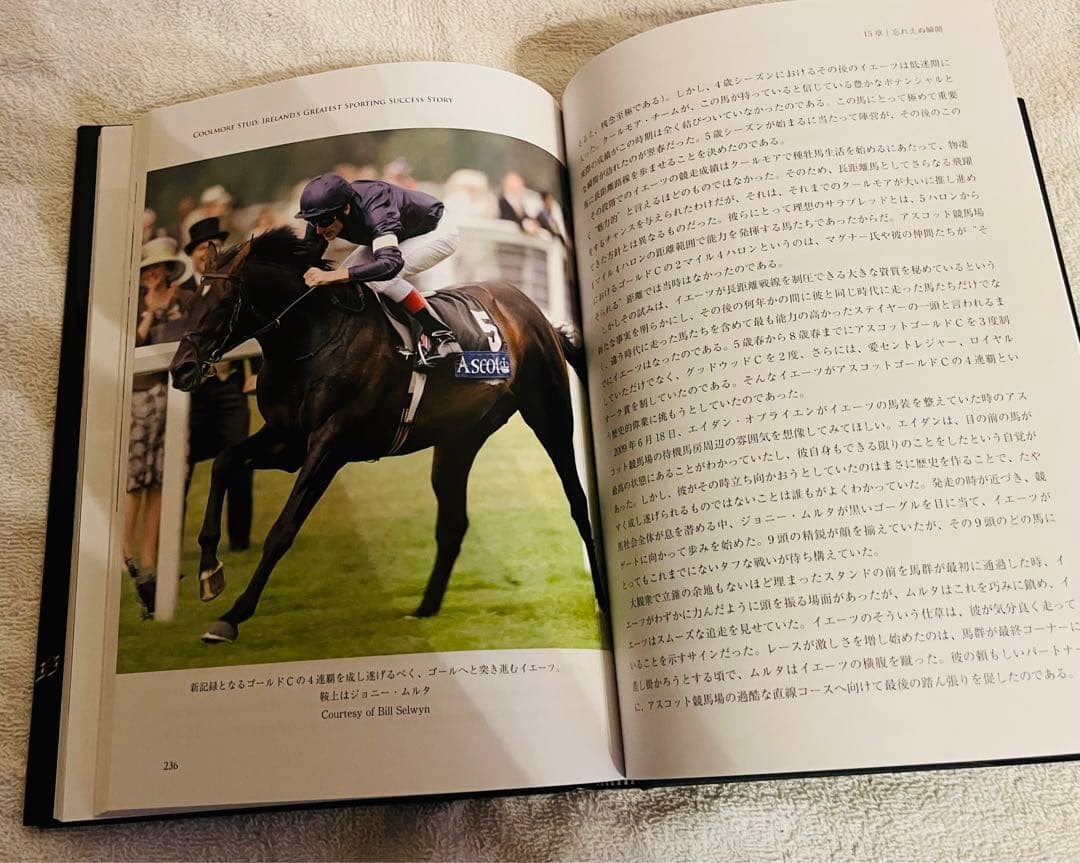 【非売品】クールモア・スタッド (海外競馬・種牡馬)