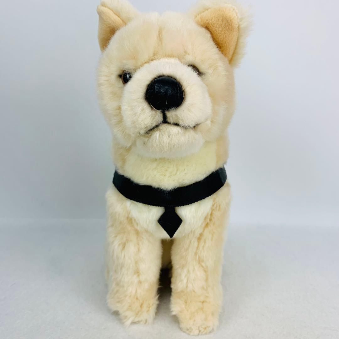 レア　国立科学博物館　秋田犬　ハチ　ぬいぐるみ　おすわり　ハチ号