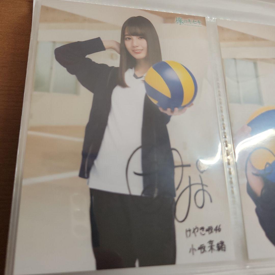 欅のキセキ イベント報酬 小坂菜緒 オリジナルフォト5枚+ヒナビンゴ4枚