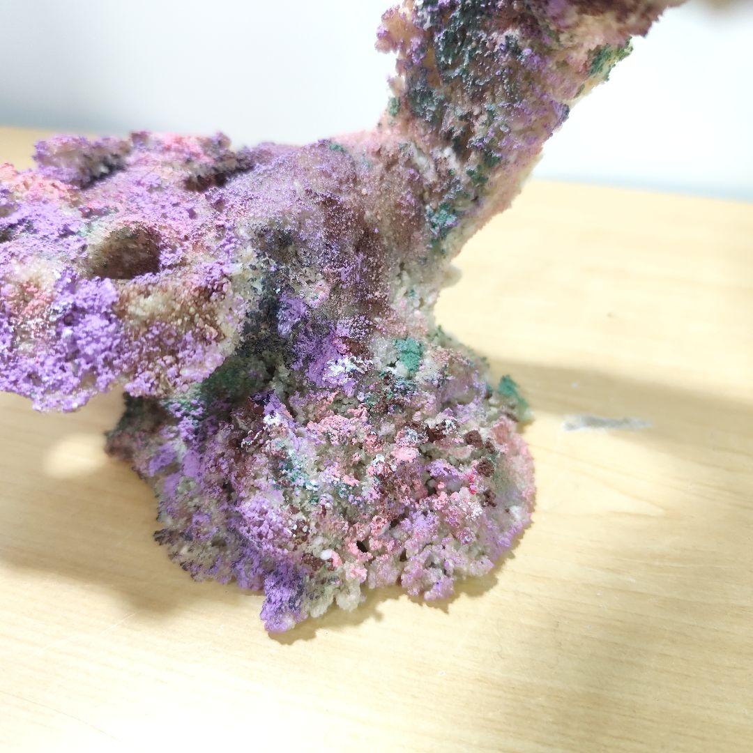 プラグ穴付き アク抜き不要人工ライブロック 海水水槽 レプリカ コーラルフラグ2