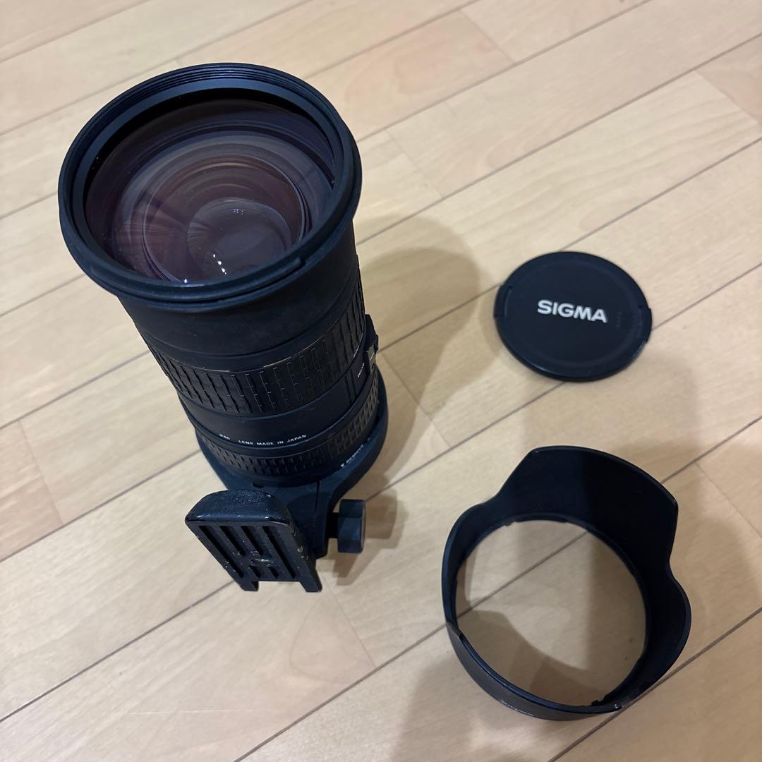 Nikon用／SIGMA　50-500mm　超望遠　ズームレンズ