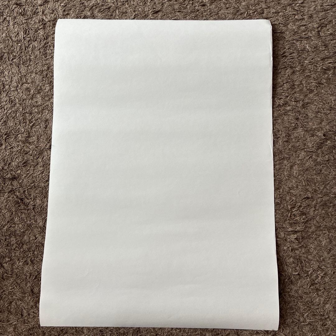 チャーリー・ブラウン VS スヌーピー ポスター