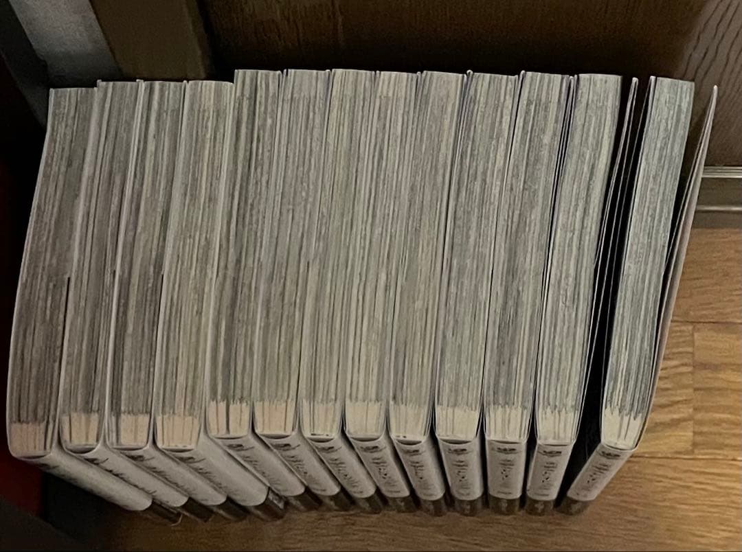 文豪ストレイドッグス　文スト　漫画　全巻