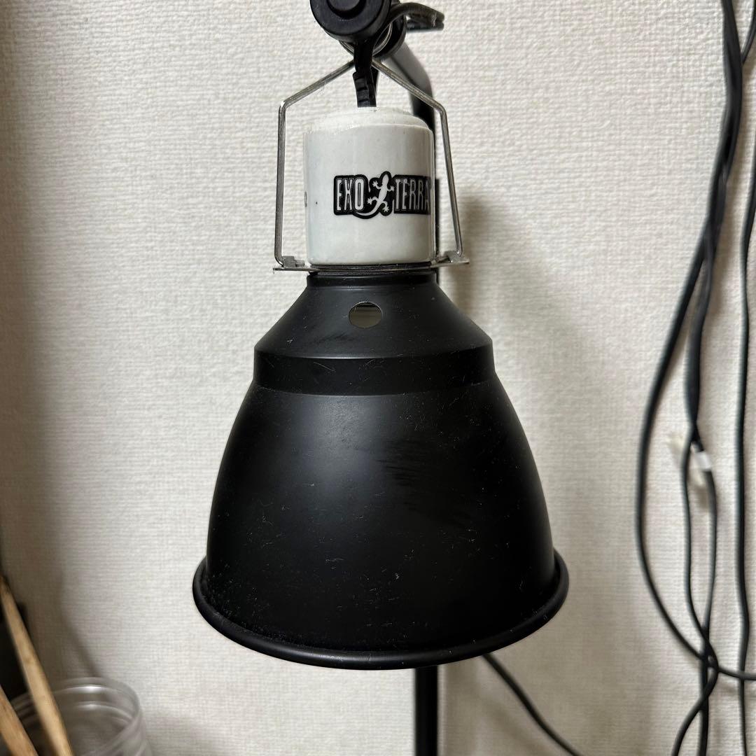 エキゾテラ　グラステラリウム3045 フルセット