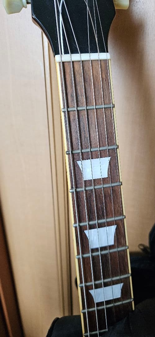 ギター E-LP-98LTS