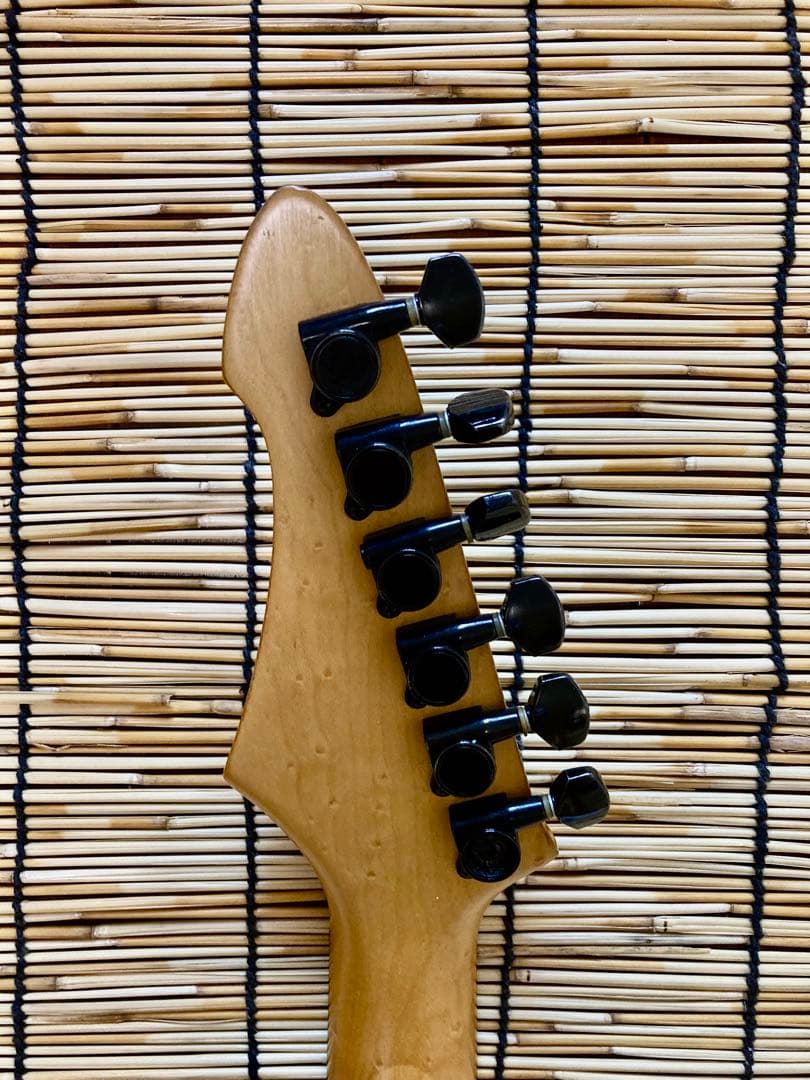 ☆新機能満載　VA-453カスタマイズしたAriaPro II ST