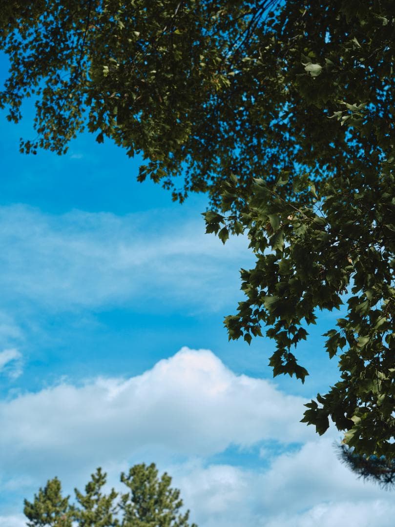 【美品】GF63mmF2.8 R WR 　2024年2月購入