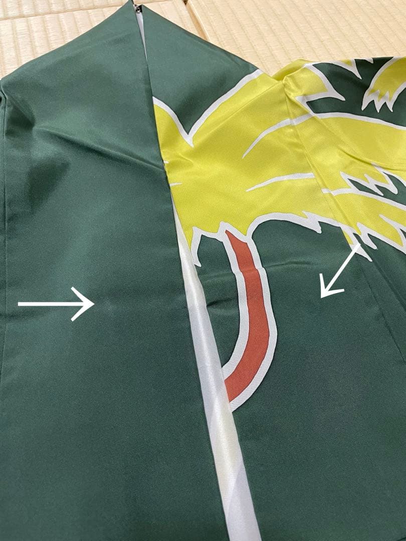 Misaobaa 珍品 大島紬 振袖 モダン 染め