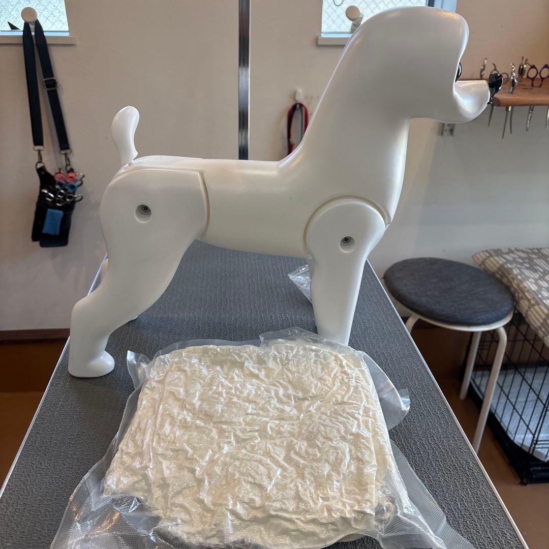 ビジョン　マネキン　ウィッグ付き