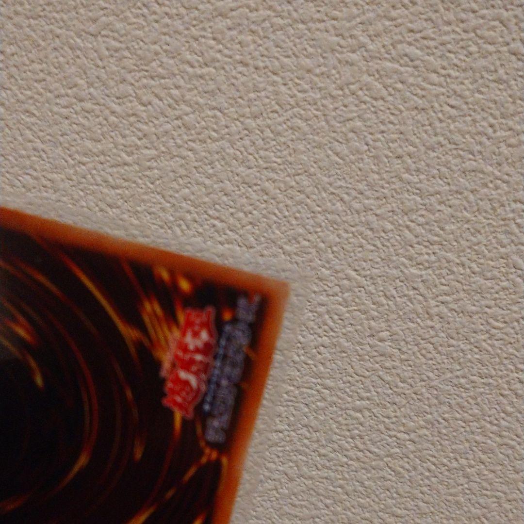 真紅眼の黒竜 プリシク