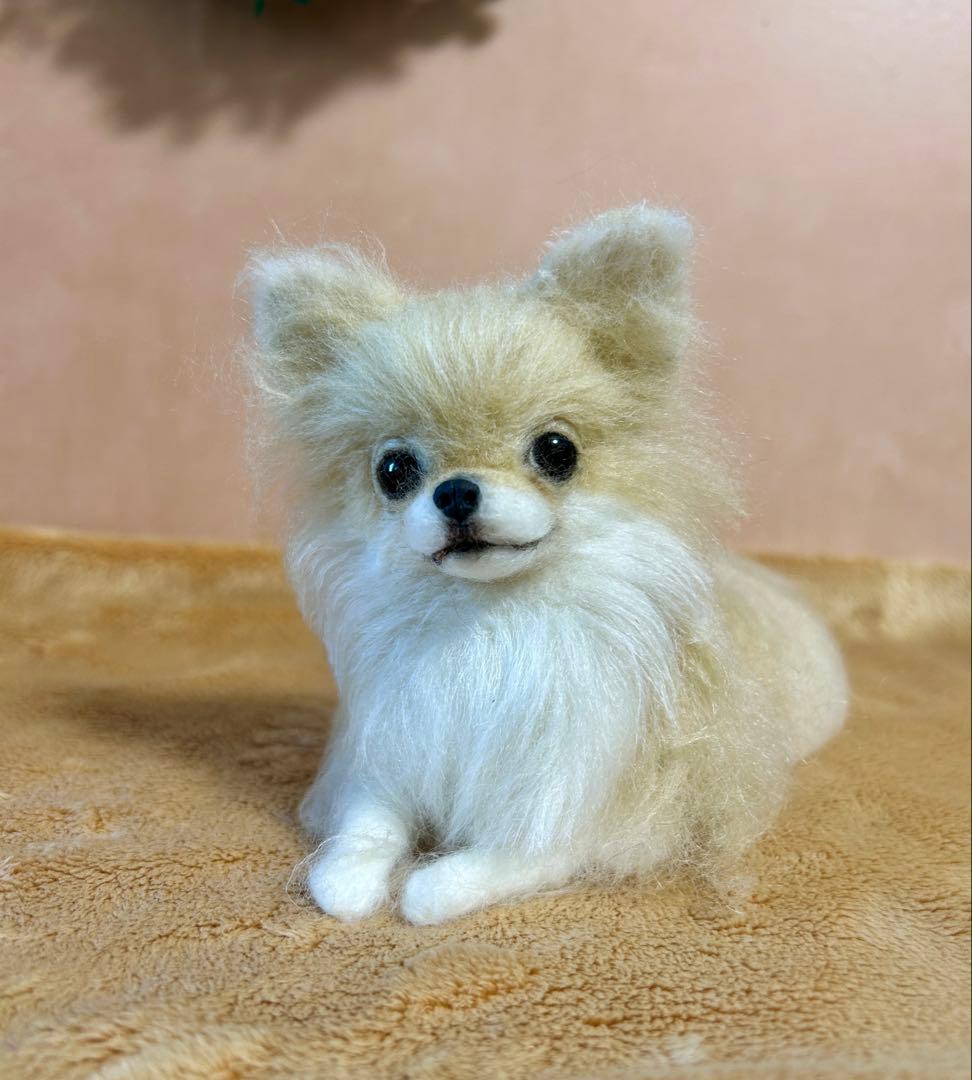 羊毛フェルト　おすましチワワちゃん