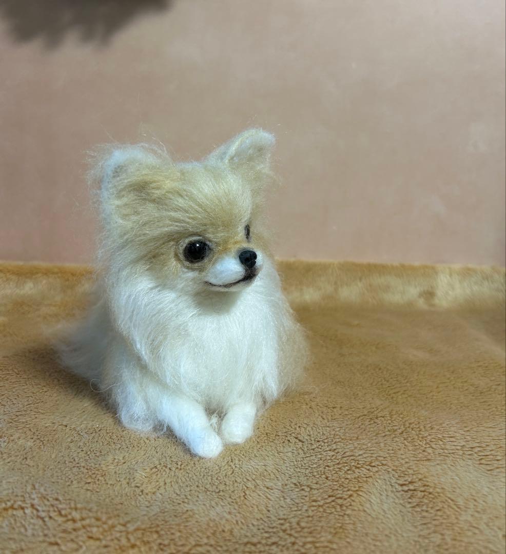 羊毛フェルト　おすましチワワちゃん