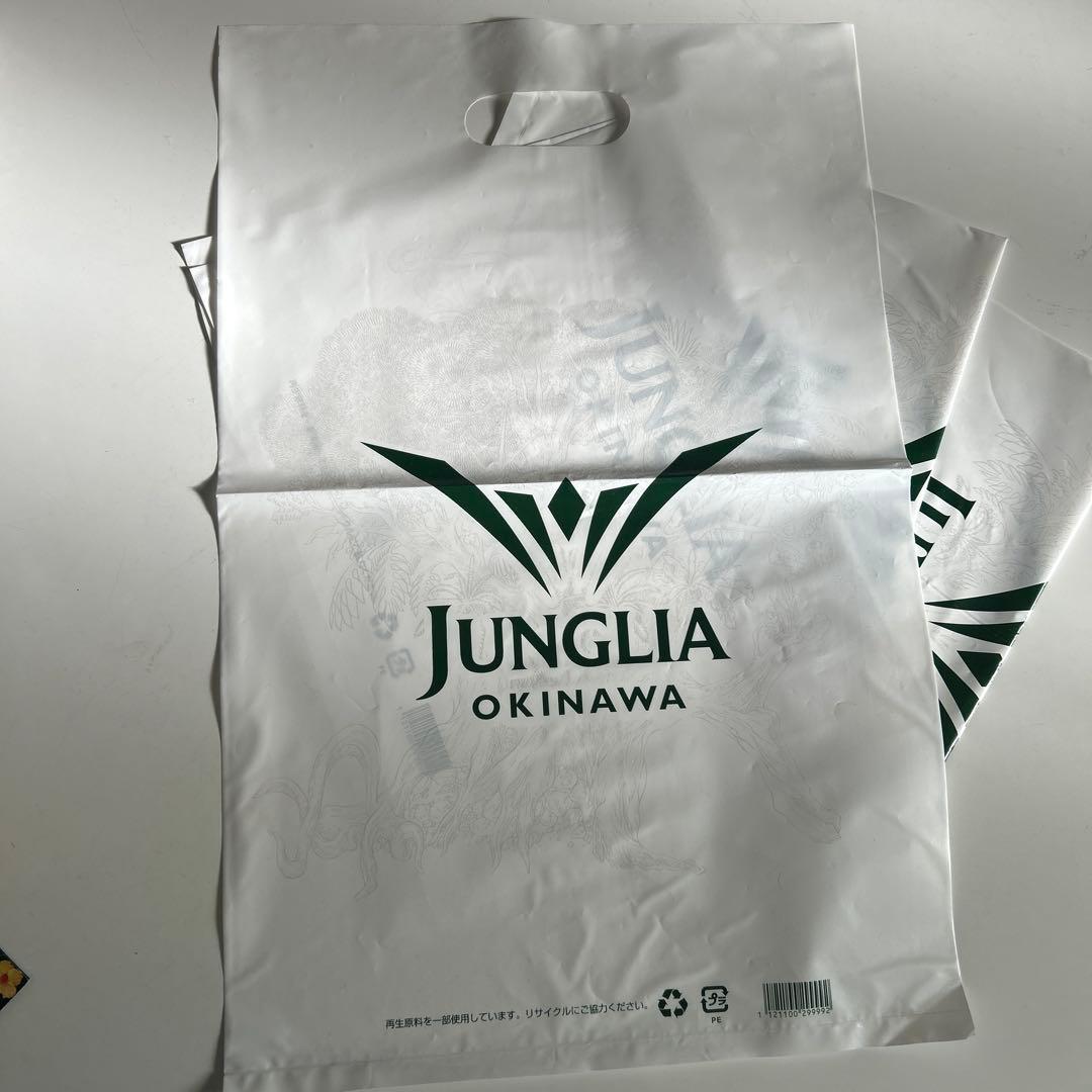 ジャングリア沖縄限定　いすゞギガトミカ4台セットショッパーとパンプレット付き❣️