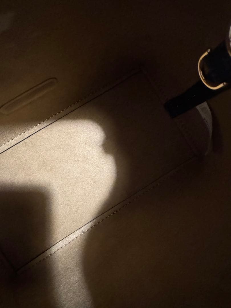 CHARLES & KEITH チャンス メタリックアクセントバケットバッグ