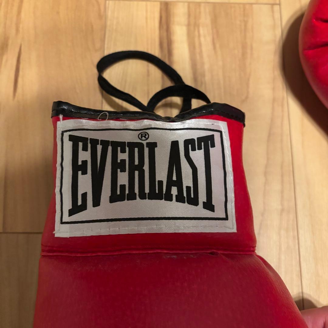 EVERLAST オスカー・デ・ラ・ホーヤ 直筆サイン入り　グローブ　14oz