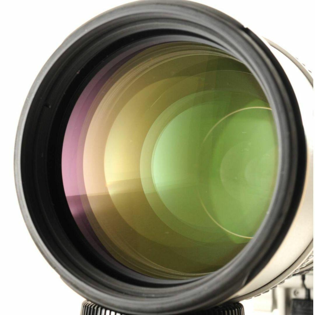 NIKON ニコン AF-S N 70-200mm F2.8 ライトグレー