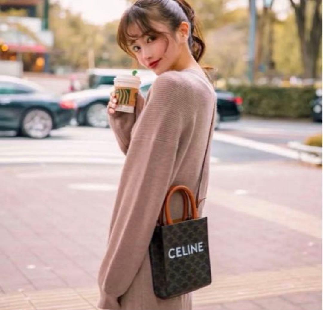 【超美品】CELINE ミニバーティカル トリオンフキャンバス