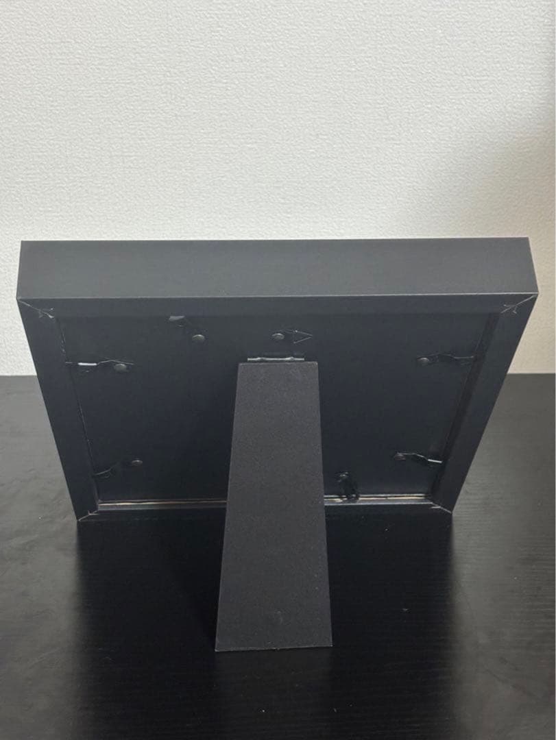 蝶の標本 2つセット　まとめ売り