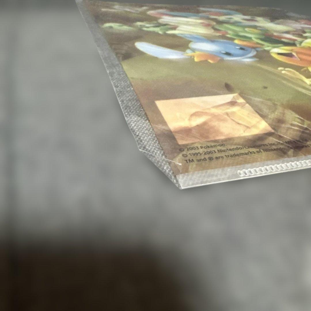 ポケモン クリアファイル 2枚+おまけ1枚付き