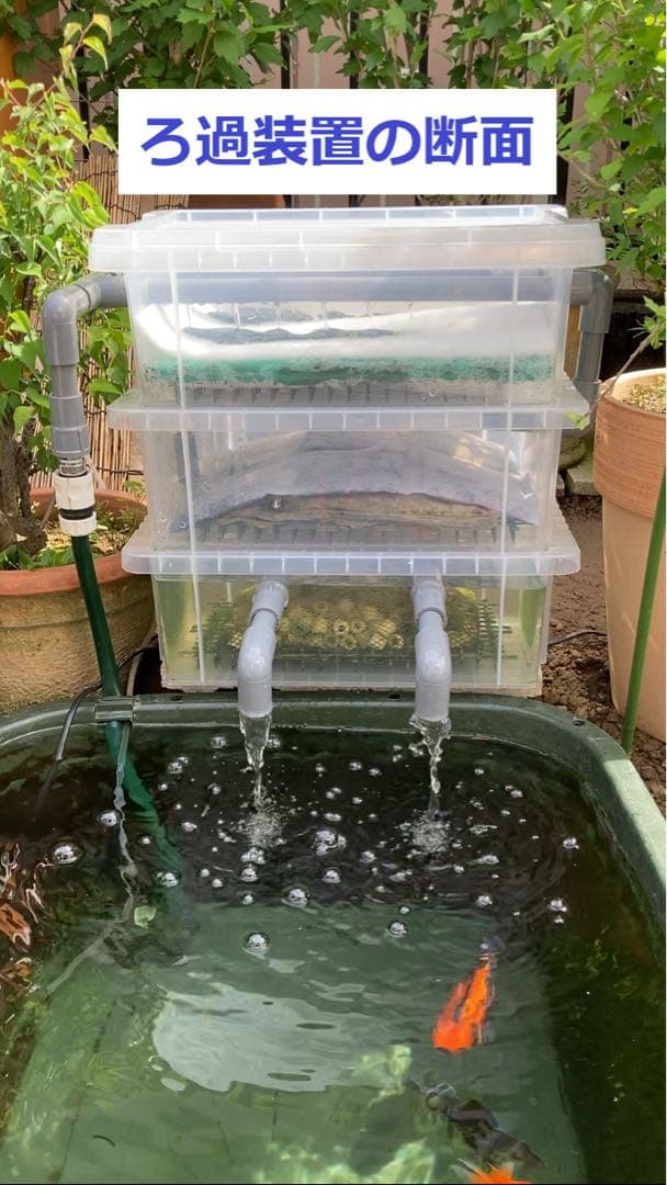 【RA様】三段式外部ろ過装置（個人製作濾過装置）【メダカ・金魚・錦鯉の屋外飼育】