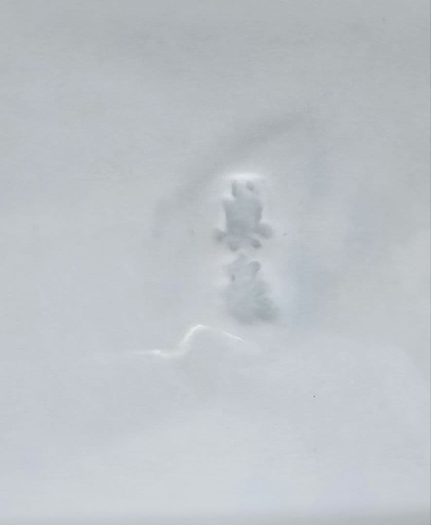 古伊万里の伊万里焼の染め付けがあり美しいお皿です