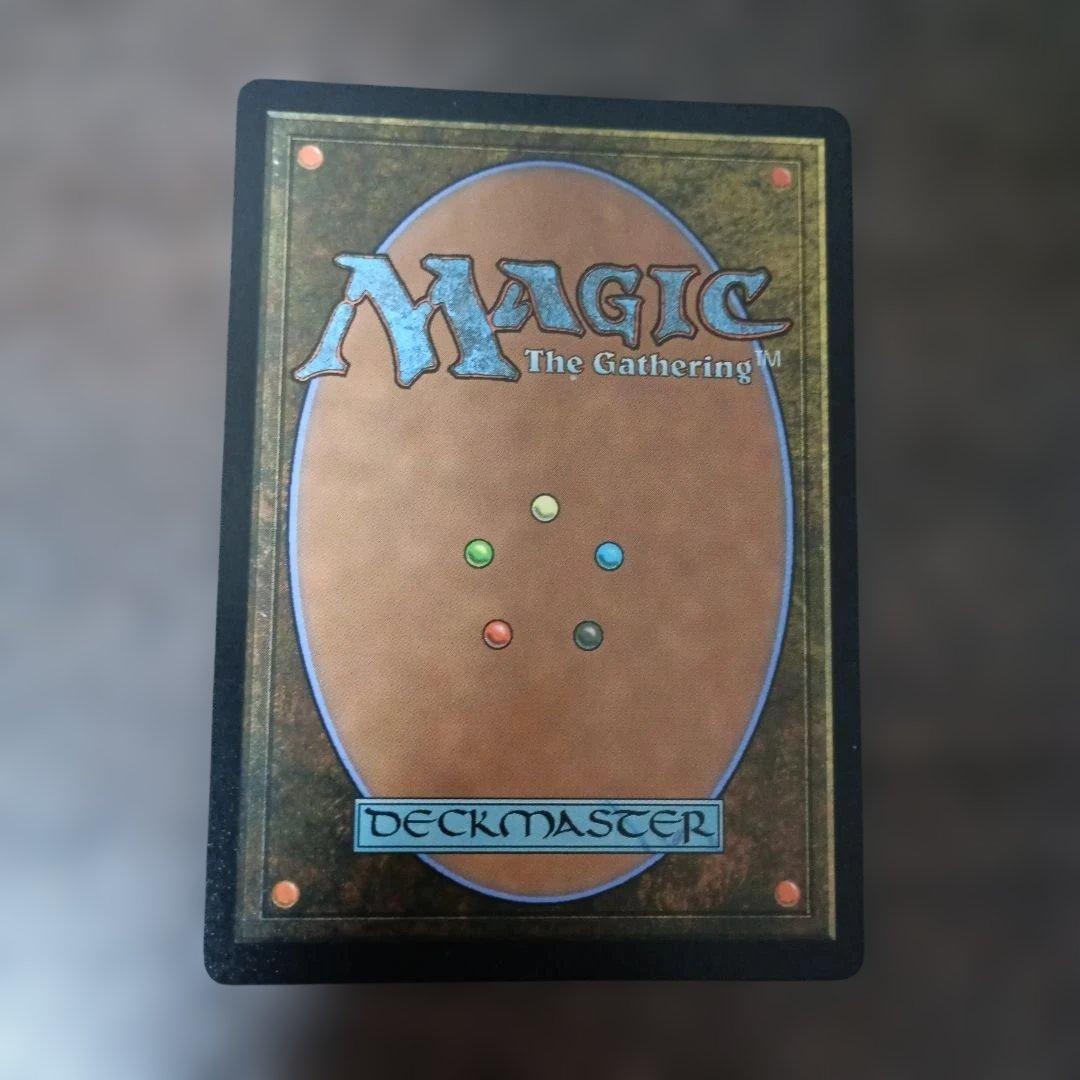 モ*ー様 【エラーカード】旅するチョコボ