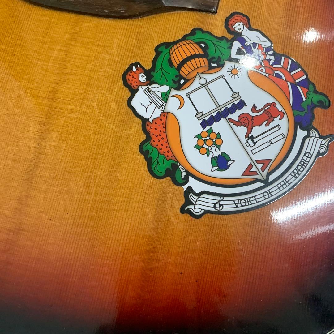 HummingBird ギター