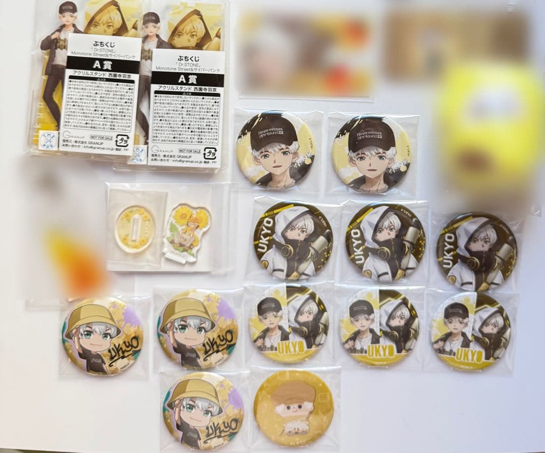 Dr.STONE 西園寺 羽京