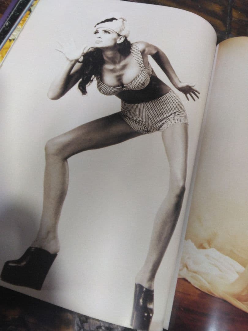 直筆サイン入り　アート　写真集　ジュリー　ストレイン　ヘビーメタル イラスト