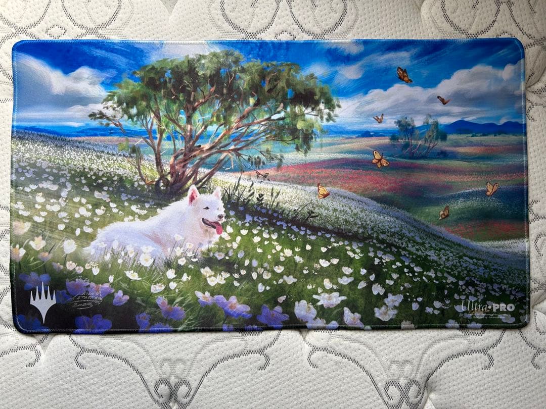 【MTG】Plains: Johannes Voss