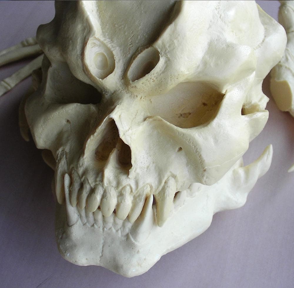 デビルマン　スカルヘッド　フューチャーモデルズ　レジンキット　1/1　F466