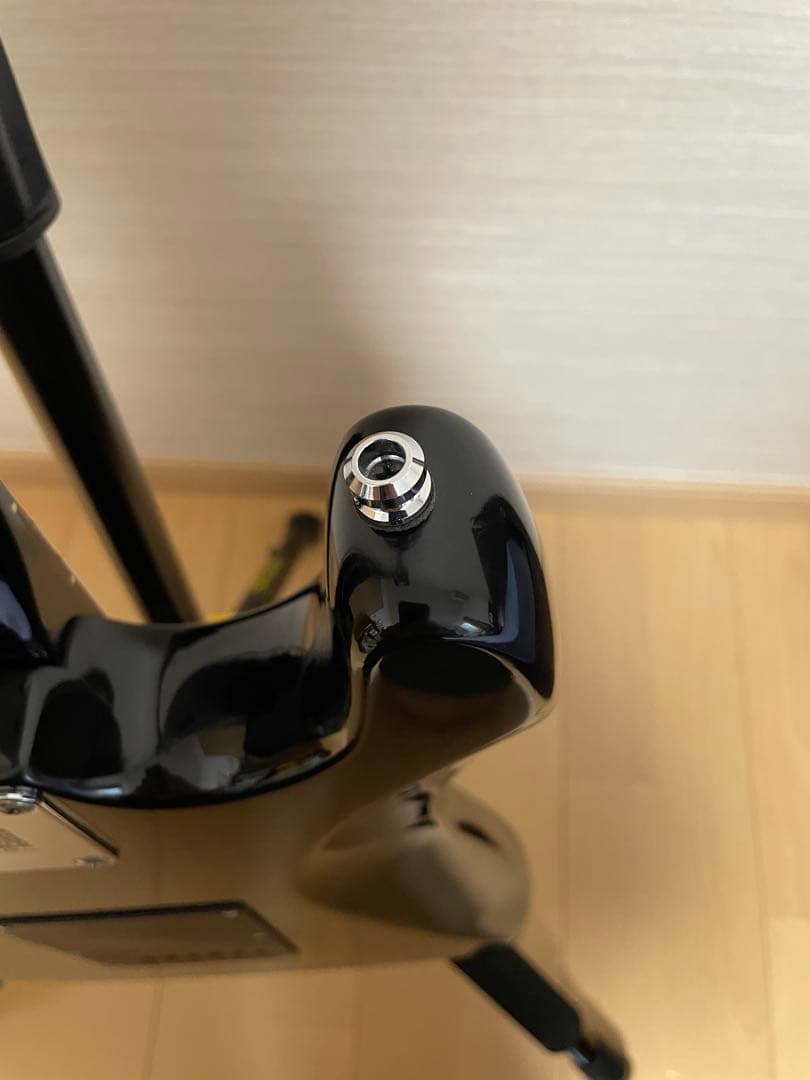 FERNANDES THE FUNCTION ストラト ブラック