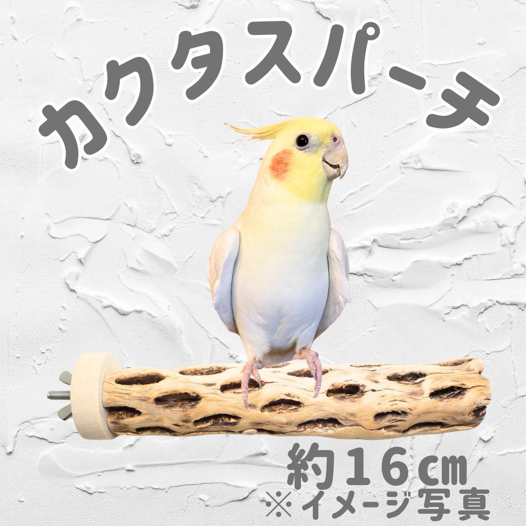 Chiiia様おまとめ　止まり木　カクタススケルトン　パーチ　2本