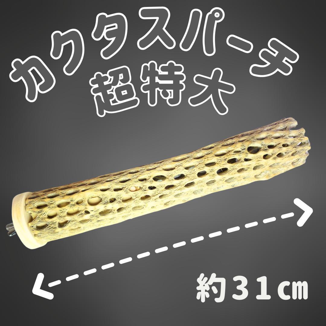 Chiiia様おまとめ　止まり木　カクタススケルトン　パーチ　2本