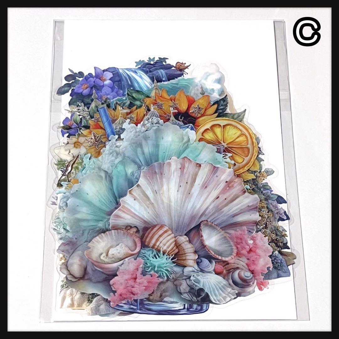 【Ｃ】☆みちゃみちゃ☆様お取り置き