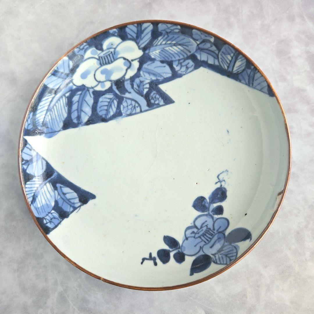 古伊万里　染付　七寸皿　椿　江戸時代　窓絵　骨董　アンティーク