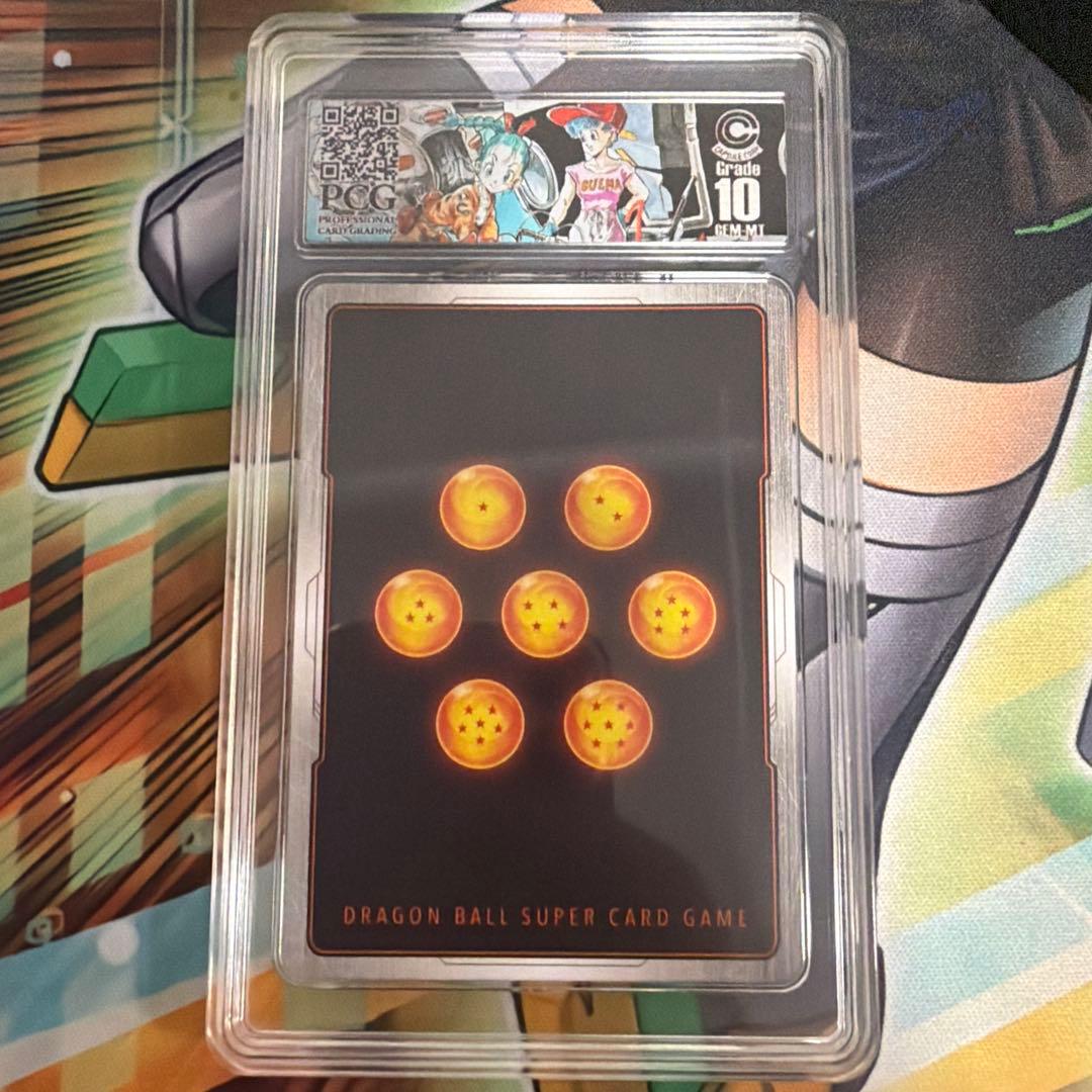 2025 DBS FSN WORLD JP ブルマ PCG10