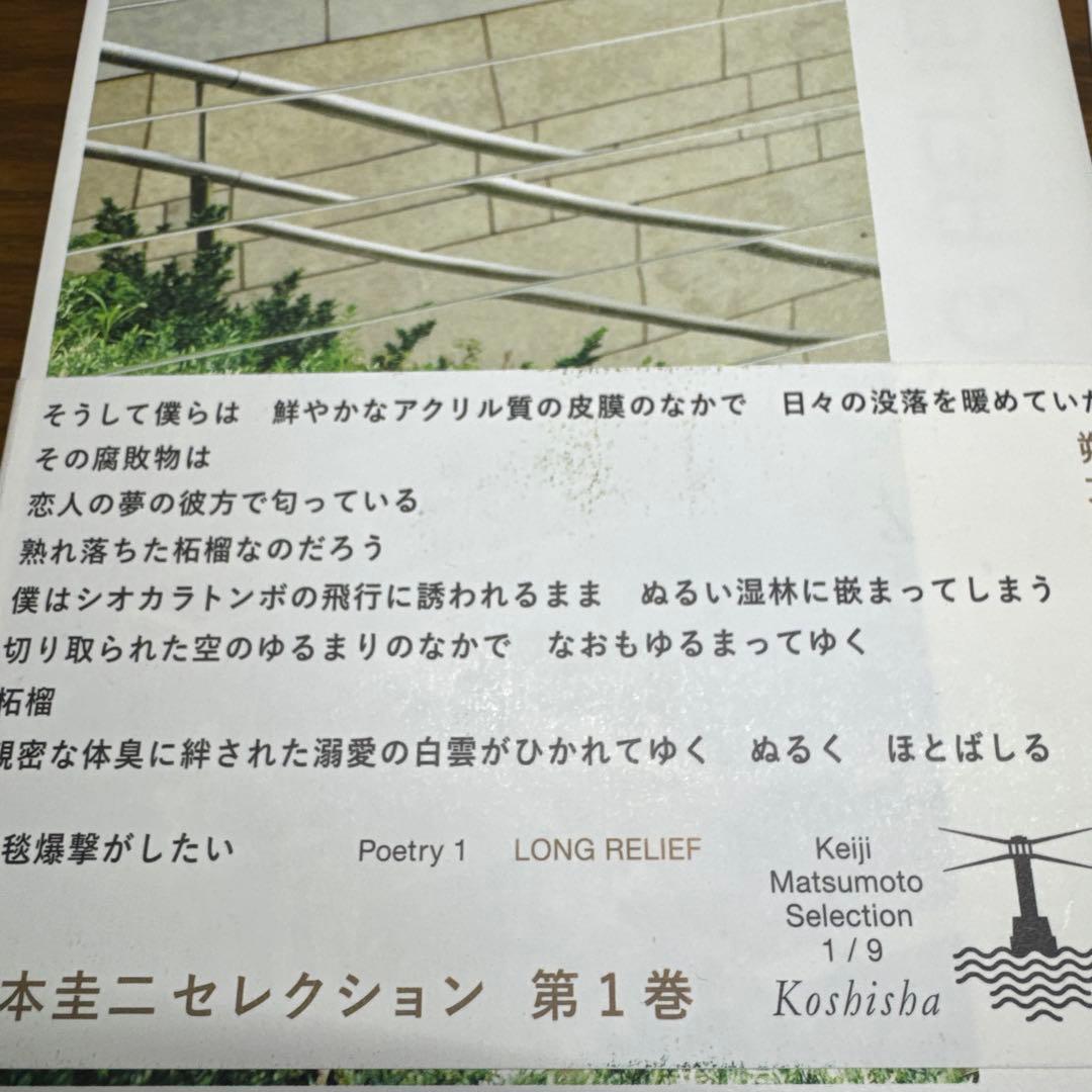 廃盤　ロング・リリイフ　松本圭二セレクション　第一巻
