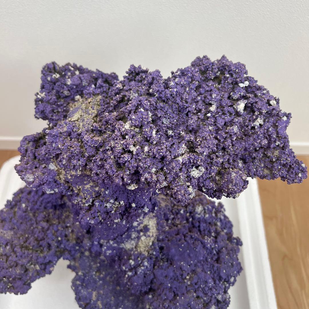 人口ライブロック 偽岩 レプリカライブロック サンゴ 人口 海水 水槽 ②